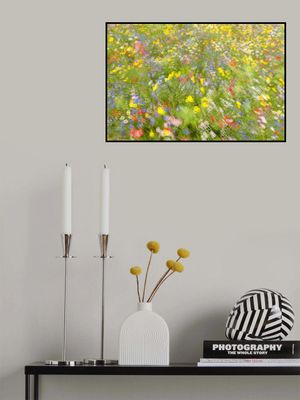 Summer field flowers..........