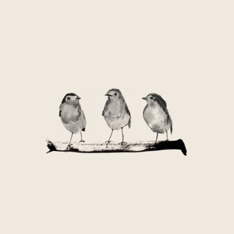 Robins   Three On a Branch 20x20