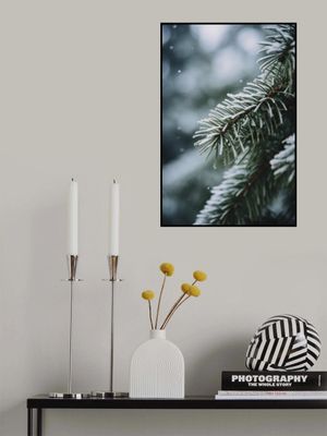 Frosted Pine Whisper