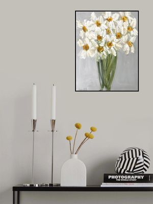 Delicate Bouquet of Daisies