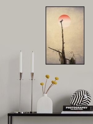 Pictorial Photography  Kingfisher