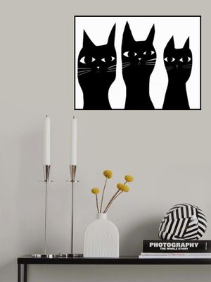 Three black cats peeking cat
