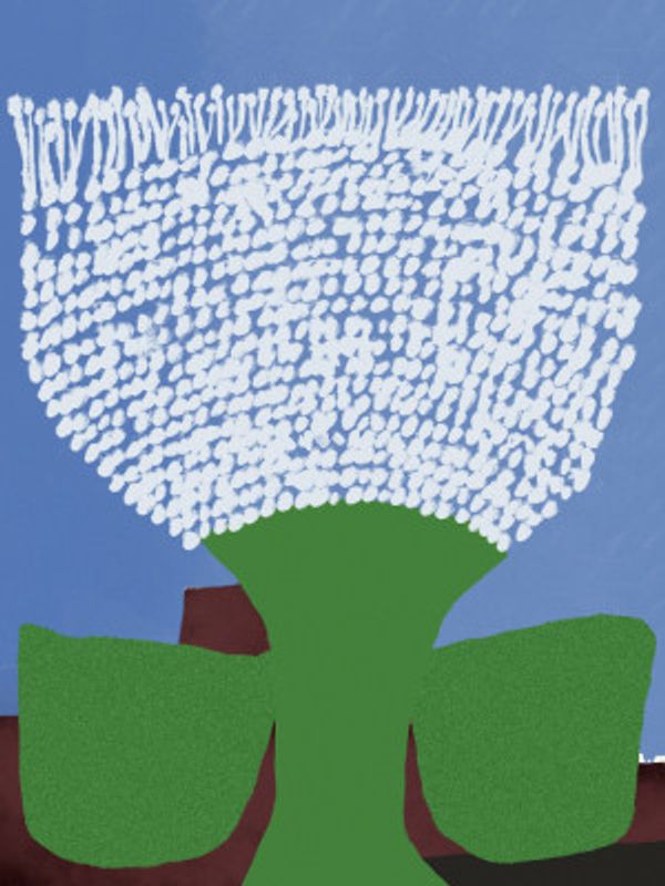 Stylized White Flower