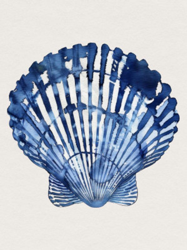 Indigo Seashell
