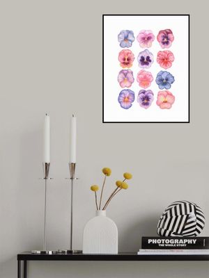 Pansy flower illustration