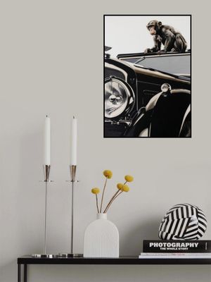 Monkey and the Bentley