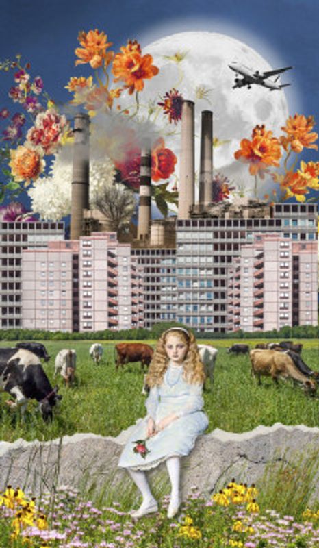 Alice In Netherlands