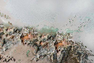 Earthly Fragments - Coastal relief art