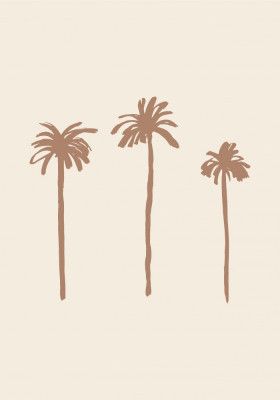 Palms