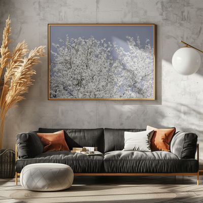 White Spring Blossoms