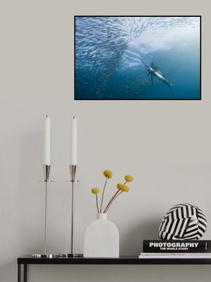 hunter and the hunted