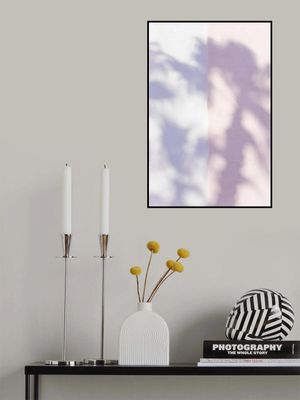 Las Vegas Palm Tree Shadows