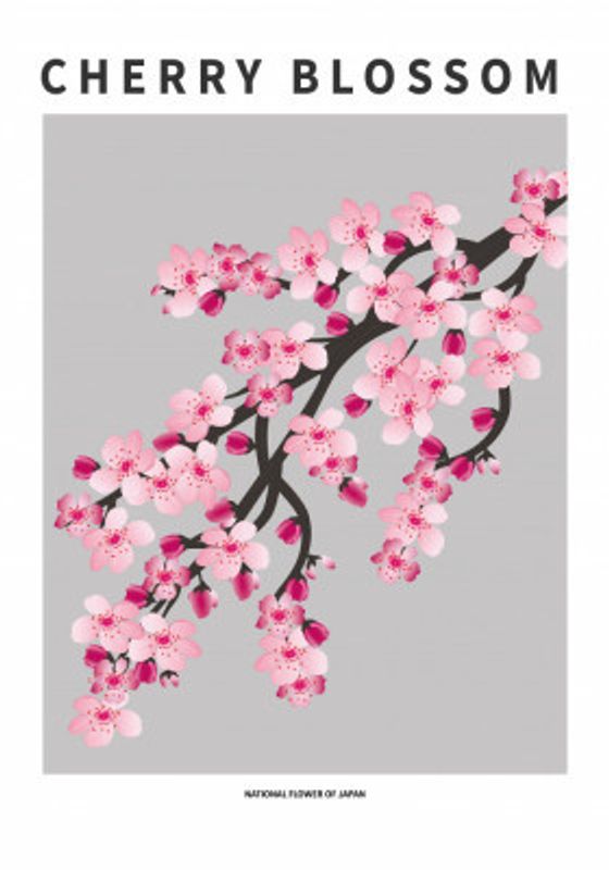 Cherry blossom - National flower of Japan