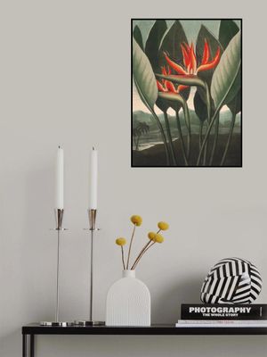 The Queen–Plant from The Temple of Flora (1807)