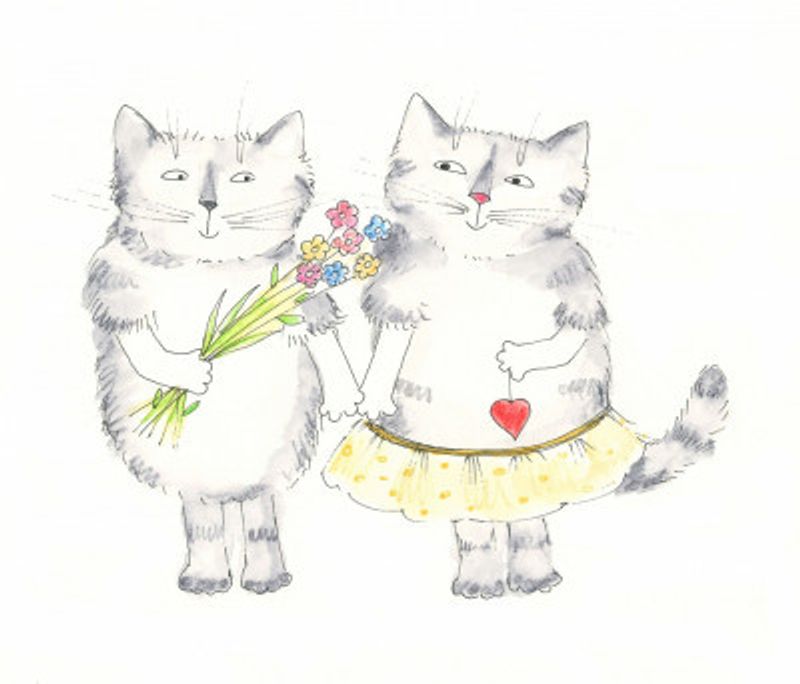 Cat Love Blossoms
