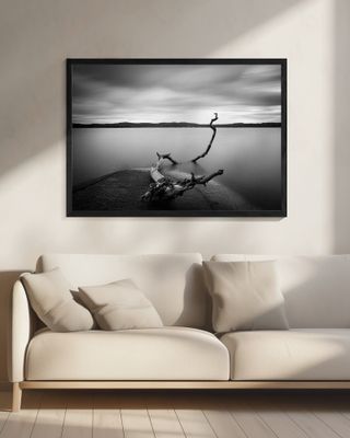 Branch long exposure lake