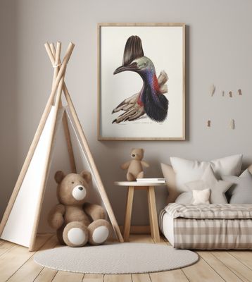 Australian Cassowary