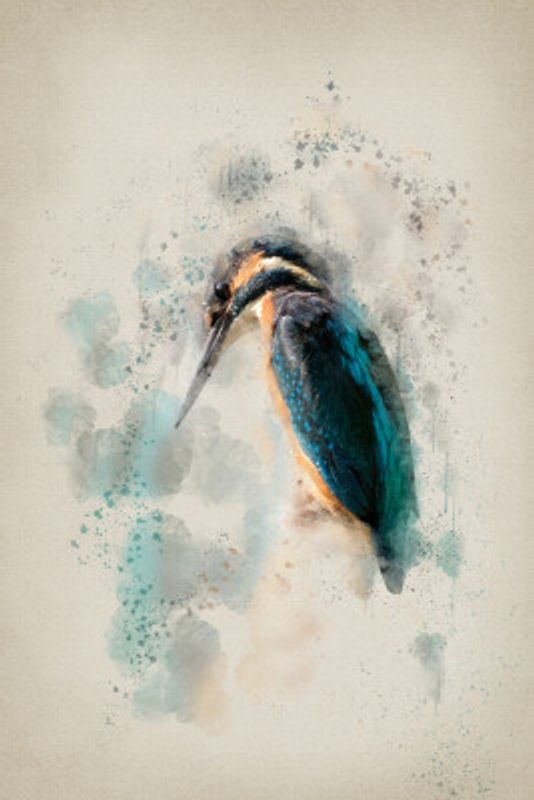 The Emotional Kingfisher