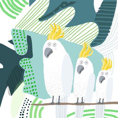 Cockatoo in a Jungle Doodle by Carla Daly