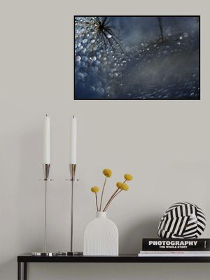 Reflections of a late evening