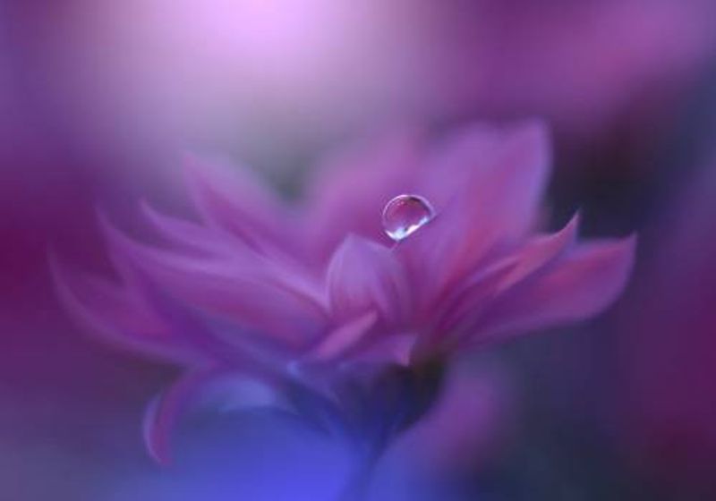 Without Form, Without Limit..