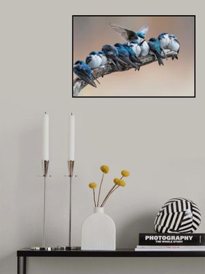 No room? No problem. I will make myself some room.