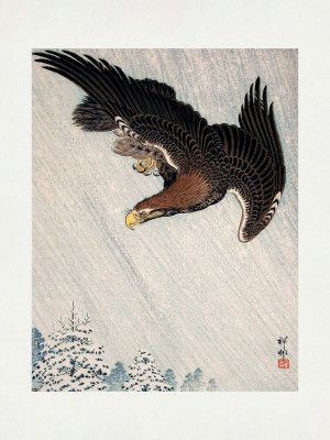Eagle Flying In Snow (1933)