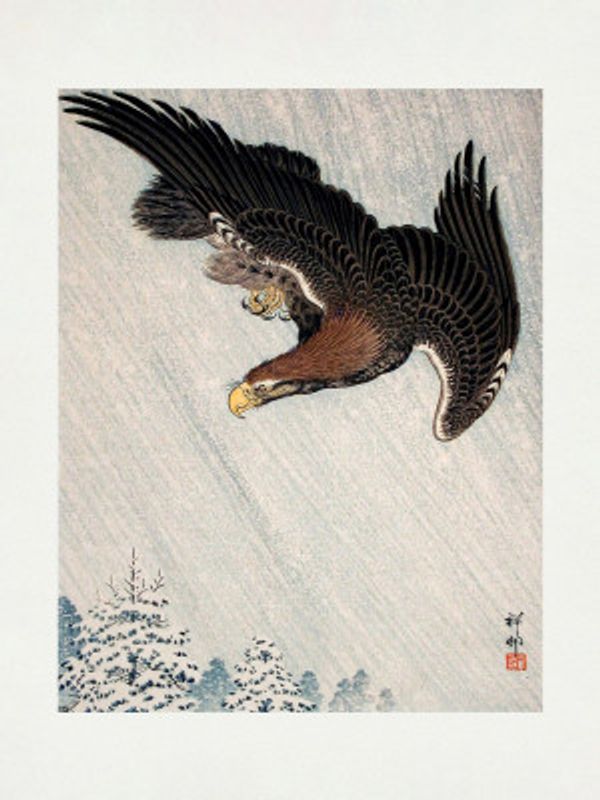 Eagle Flying In Snow (1933)