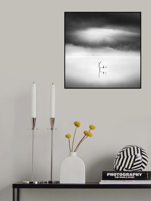 Waiting for the Summer