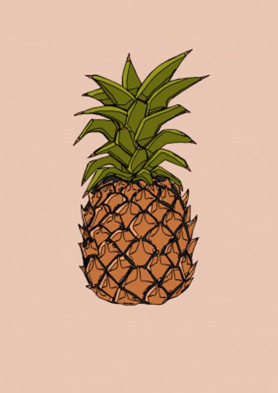 Pineapple Fruit