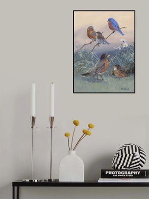 Bluebird, Robin By Allan Brooks