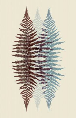 Chocolate and Teal Fern