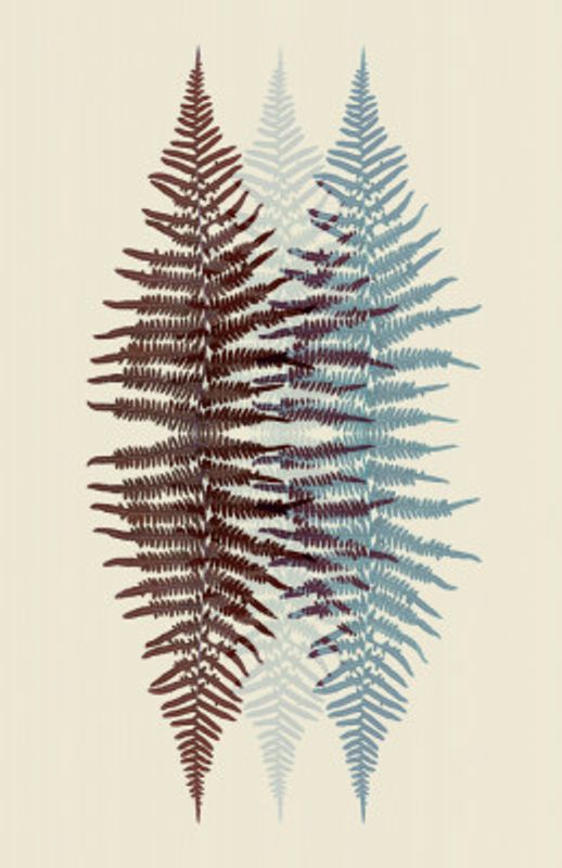 Chocolate and Teal Fern