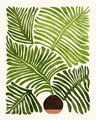 Summer Fern 4x5