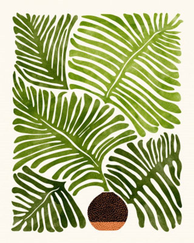 Summer Fern 4x5