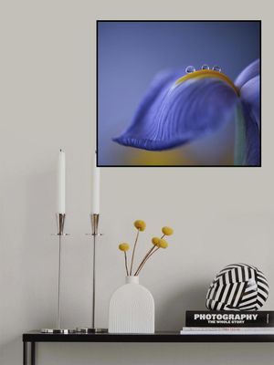 Spring is just around the corner