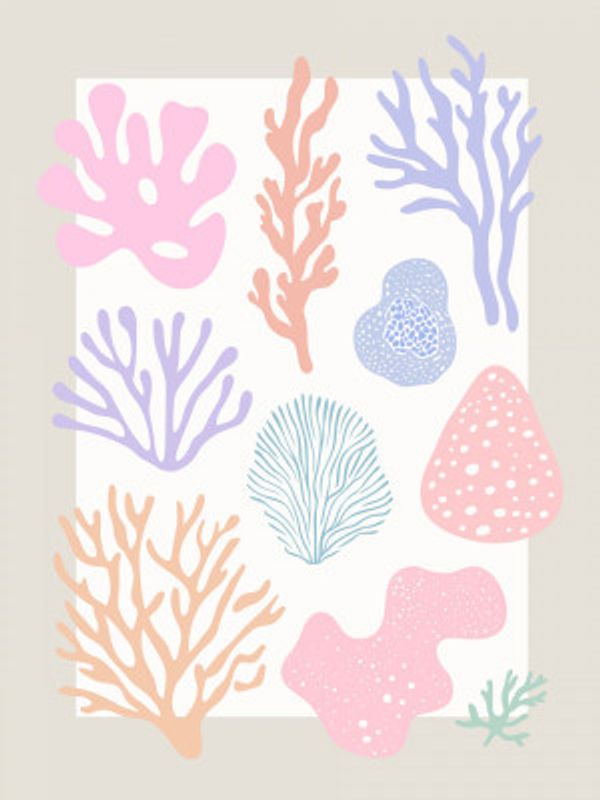 Coral Dreamscape
