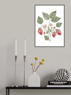 Strawberry illustration