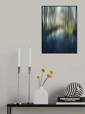 A Walk In the Countryside