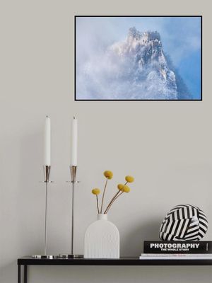 Vicissitudes of life