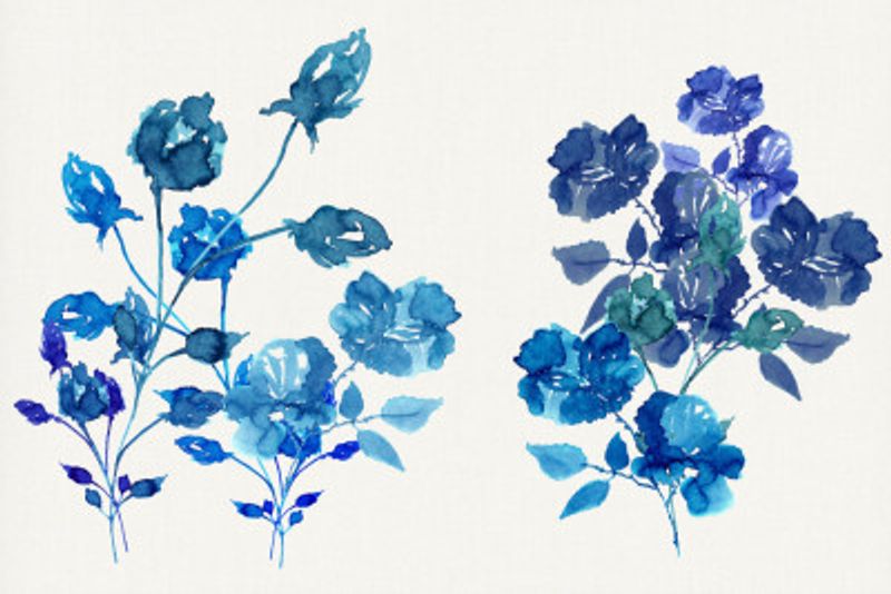 Indigo Roses Watercolour