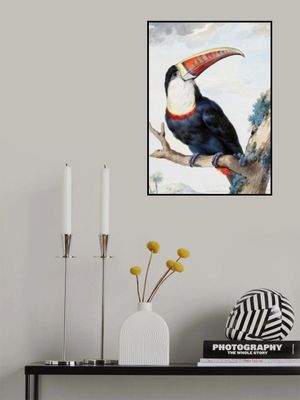 Red Billed Toucan