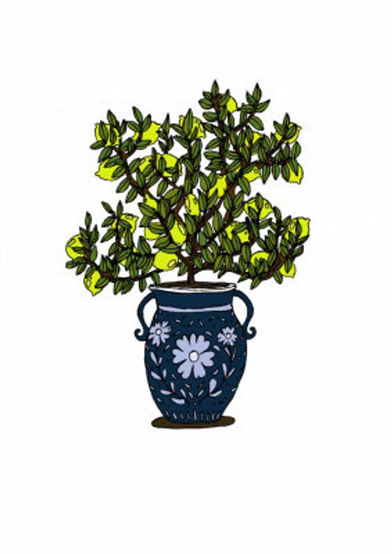 Lemon Tree with Decorative Vase