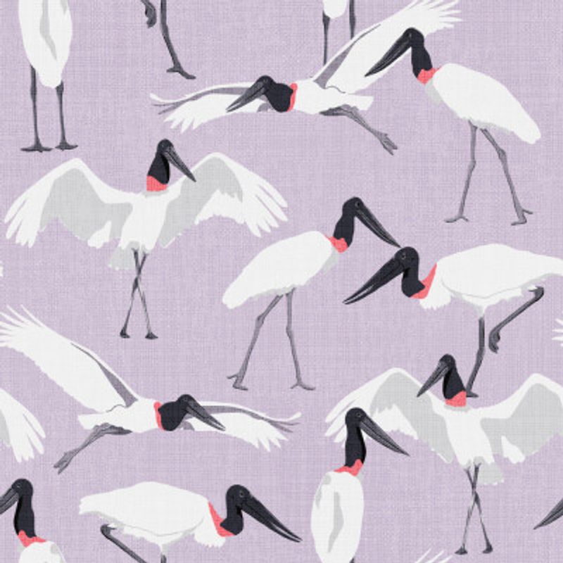 Dance of the Tuiuiui Lavender