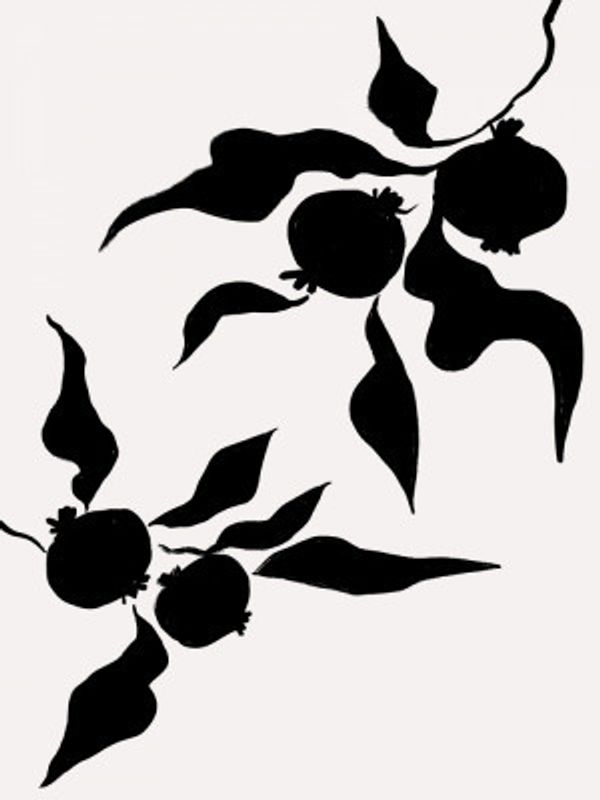 Pomegranate Silhouettes