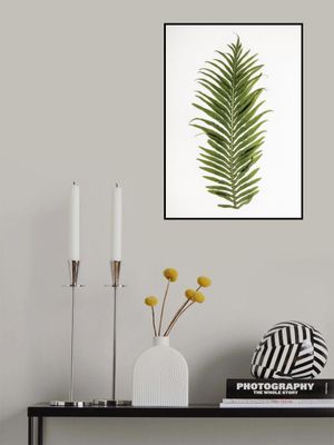 Fern Elegance
