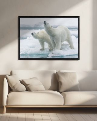 Polar bears, mother and son