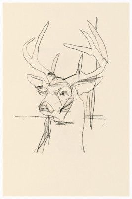 Étude Cerf (stag) No.1