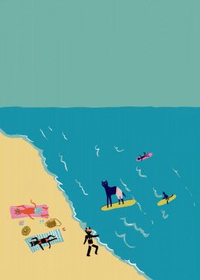 Cats beach day humour surfing