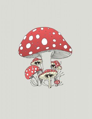 Mushrooms